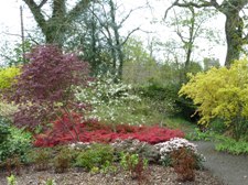 Aberglasney Mansion Gardens