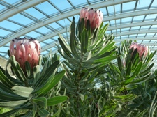 National Botanical Gardens