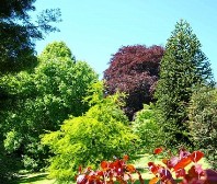 Upton Castle Gardens
