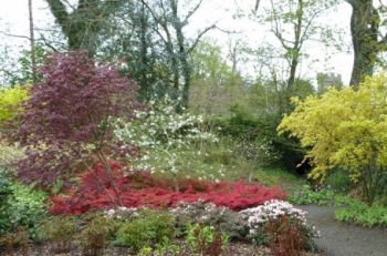 Aberglasney Gardens