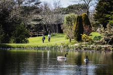 Hilton Court Gardens