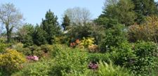 Norwood Gardens