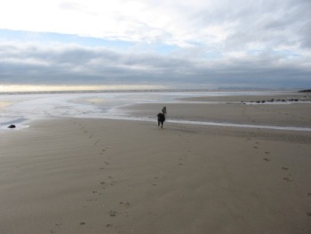 Pendine Sands