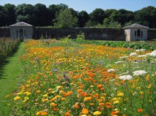 Stackpole Gardens